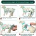 Kuoser Dog Recovery Suit - Breathable Post-Op Body for Male & Female Dogs Leakage Protection Anti-Licking & Wound Care Cute Green Design (1 Pack) - Buy Online on GoSupps.com