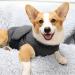 Petyoung Dog Anxiety Jacket Brethable Soft Anxiety Dog Vest Wrap Shirt Relief Calming Coat for Small Medium Large Dogs - Buy Online on GoSupps.com