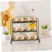UKCOCO Egg Carton Plastic Trays Refrigerator Fridge Egg Dispenser Egg Storage Holder Clothing Household As Shown2 25X20CM - Buy Online on GoSupps.com