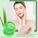 Pure Aloe Vera Gel for Body & Face - Deep Moisturizing Lotion for All Skin Types | Hydrating Non-Greasy Aloe Vera Gel for Men & Women - Shop Now - Buy Online on GoSupps.com