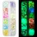 Fluorescent sequin glowing nail powder fluorescent glitter face 1 box12 colors DIY pull -up pictures decoration for face body eyes for party halloween christmas