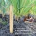 Virgin Forest Bamboo Charcoal Toothbrushes - Pack of 6 | Eco Friendly & Biodegradable - Buy Online on GoSupps.com