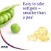 Now Foods Oregano Oil Softgels 181mg - High Carvacrol (55%) - Digestive Support - Gut Health - Natural Antibiotic - Kosher - 180 Servings - Buy Online on GoSupps.com