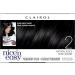 Clairol Nice'n Easy Liquid Permanent Hair Dye 2/122 Natural Black Hair Color 1 Count 2/122 Natural Black 1 count (Pack of 1) - Buy Online on GoSupps.com