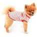 Smalllee Lucky Store: Summer Striped T-Shirt for Small & Medium Dogs | XS Red | Ideal for Yorkies Chihuahuas & Cats - Buy Online on GoSupps.com