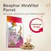BEAPHAR XTRAVITAL Premium Food for Parrots Contains Fruits Seeds and Egg Pate Strengthens the System - Buy Online on GoSupps.com