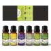 100% Pure Therapeutic Grade Essential Oils 6 x10 mL Gift Set for Aromatherapy and Massage use in Diffuser Lavender Eucalyptus Sandalwood Sweet Orange Lemon Grass and Peppermint.