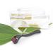Derma Roller for Face and Skin Care 0.25mm - Free Storage Case Included - Buy Online on GoSupps.com