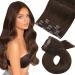 Moresoo Clip in Hair Extensions Real Human Hair Extensions Clip in Double Weft Dark Brown Clip in Extensions Remy Hair 12 Inch 5 Pieces/70g #4 30 cm #4