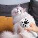 Decorhome Cat Care Brush - Portable Depilatory Tool for Long-Haired Pets | Remove Mats & Nodes Effortlessly - Buy Online on GoSupps.com
