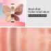 Erinde Butterfly Eyeshadow Palette - 6 Colors, Long Lasting, Waterproof, Portable | Women's Day Gift Set - Buy Online on GoSupps.com