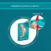 COMPEED Pansements Ampoules Moyen Format (5 pansements) - Buy Online on GoSupps.com