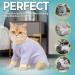 Avont Katzenbody Recovery Suit for Cats - Spay Castration & Wound Protection in Lavender | Leak-Proof and Comfortable - Buy Online on GoSupps.com