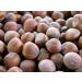 Buy Premium Fresh Hazelnuts in the Shell - 2 kg from Poland | International Shipping - Buy Online on GoSupps.com