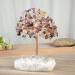 Kyeygwo Amethyst & Citrine Healing Crystal Money Tree - Feng Shui Bonsai Gemstone Tree for Luck & Home Decor - Buy Online on GoSupps.com