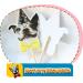 Dog Birthday Banner Cake Topper Decorations Garland Dog Theme Bunting Cupcake Toppers Bday Decor Party Supplies for Birthday Party - Buy Online on GoSupps.com