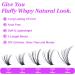 Ruairie Black Lash Extension Kit: 200pcs Bond & Seal DIY Eyelash Extension Clusters 8-16MM CD Curl Individual Lashes Set - Buy Online on GoSupps.com
