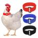 6 Pieces Anti Crow Rooster Collar Anti Noise Nylon Neck Belt Chicken Neckband to Prevent Chickens from Screaming, Disturbing Neighbors