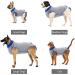 Recovery Suit for Dogs - Postoperative Wound Protection Clothing | Anti-Licking E-Collar Alternative | XS A-Gray - Buy Online on GoSupps.com