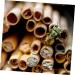Bee House Bee Tubes 50pcs:Mason Bee Tube Refill Ground Mason Bees for Bee Storage Tubes Bee Habitat Mason Bee House Tubes Carpenter Bee House Mason Bee Paper Inserts Hive Lining - Buy Online on GoSupps.com