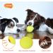 Laroo Dog Toys - Durable Natural Rubber Squeaker Dog Balls for Small & Large Dogs | 6.5cm x 8cm Green Football - Buy Online on GoSupps.com