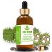 Pure Herbs Castor Oil (Ricinus communis) Pure & Natural Therapeutic Grade Carrier Oils with Pipettes (30 ml)