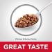 Hill's Science Diet Chicken & Barley Food for Dogs - Buy Online on GoSupps.com
