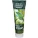 Desert Essence Organics Shampoo Green Apple & Ginger 8 fl oz (237 ml)