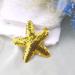 Star Hairclip Star Hairpins Starfish Sequin Hair Accessories for Girls Women Party Gift Seaside Pool Party (Gold) - Buy Online on GoSupps.com