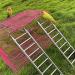 JQTOP Parrot Ladder 9-Step Stainless Steel Rustproof Metal Nonskid Smooth Portable Bird Cage Ladder with Hooks Cockatiel Stand Ladder for Parrots Parakeets Cockatoos Lovebirds - Buy Online on GoSupps.com