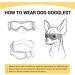Petleso Small Breed Dog Goggles | UV Protection Sunglasses for Small Dogs | Outdoor Eyewear for Driving and Riding | Small Black - Buy Online on GoSupps.com