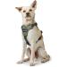 HUNTER DIVO Dog Harness L-XL (79-107 cm) - Green/Grey - Premium Quality International Shipping - Buy Online on GoSupps.com