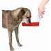 Trixie 2459 700ml Bottle with Drinking Bowl - Red & White | Durable Plastic Water Bottle for Pets | International Shipping Available - Buy Online on GoSupps.com