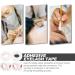 EXCEART 6 Rolls lashes extension supplies adhesive tape adhesive fabric eyelash tape breathable dedicated lash supplies eyelash tool patch extension belt - Buy Online on GoSupps.com