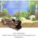 Buy XL Ceramic Garpet Aquarium Terrarium Decoration | Perfect Hiding Place for Reptiles & Fish - Buy Online on GoSupps.com