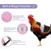 Vehipa 3 Pcs Reflective Chicken Vest Set - Adjustable Harness for Poultry - Feather Protection for Hen, Geese, Duck - Buy Online on GoSupps.com