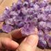 Natural Crystal Rough 100g Bulk Lot Natural Rough Lavender Amethyst Cluster Gravel Quartz Crystal Raw Stone - Buy Online on GoSupps.com