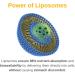 Vitaminally Liposomal Men's Liquid Multivitamin Drops | Non-GMO | Sugar Free | Gluten Free | 30 Day Supply | Supports Immune System Muscle Health Cellular Energy Production - Buy Online on GoSupps.com