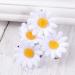 Lurrose 10pcs Daisy Hair Clips - Cute Small Flower Barrettes for Girls and Ladies - Buy Online on GoSupps.com