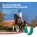 Primeval Stressless Pheromone Gel for Horses - Natural Soothing Supplement for Transport & Vet Visits (2 Packs) - Buy Online on GoSupps.com