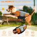 Alagirls Adjustable Dog Lifebuoy Jacket - Durable Pet Lifesaver Vest for Large Dogs - XS (34-44cm) - Orange - Buy Online on GoSupps.com