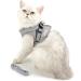Ranphy Breakproof Cat Dishes with Leash - Durable Stylish & Ideal for International Shipping - Buy Online on GoSupps.com