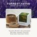 Forrest Haven Aromatherapy Soy Candle - Lavender Cedarwood & Vetiver | 3.2oz - 24-Hour Burn Time | Healing & Relaxation Fall Decor - Buy Online on GoSupps.com