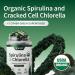Snap Supplements Liver Health + Organic Spirulina and Chlorella Bundle 60 + 120 Vegetarian Capsules - Buy Online on GoSupps.com