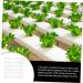 FUNOMOCYA 3pcs Cucumber Cucumbers Cucumber Kit Fruit Molds Vegetable Square - Buy Online on GoSupps.com
