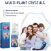Toothache Relieving Spray Oral Care Spray Toothache Pain Relief Dental Pain Relief Instant Teeth Treatment Relief Remedies Teeth&Gums Spray Tooth Ache Relief Pain Spray Gum Pain Spray Freshen Breath - Buy Online on GoSupps.com