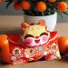 JAYIOLA Hong Bao Red Packet Gift Packages Hongbao Chinese Lunar New Year Red Envelopes for Spring Festival Graduation DragonHead 18.5x14cm - Buy Online on GoSupps.com