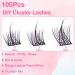 Ruairie Eyelash Extension Kit - DIY Wispy Natural Lash Clusters - 100pcs CD Curl Individual Lashes - Buy Online on GoSupps.com