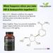 Feel Supreme Nicotinamide Riboside & Astaxanthin NAD+ Supplement - 60 Capsules for Anti-Aging & Energy Boost - Enhanced Brain & Muscle Health Support - Buy Online on GoSupps.com