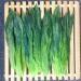 Th Vert Th Matcha Nature 100g Taiping Houkui bon th chinois - Buy Online on GoSupps.com